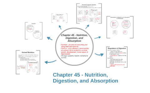 Chapter 45 - Nutrition, Digestion, and Absorption by Lydia Bates on Prezi