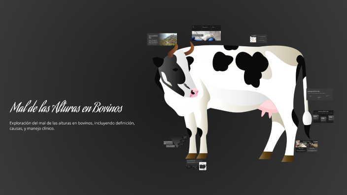 Mal de las Alturas en Bovinos by oscar eduardo muniz diaz on Prezi