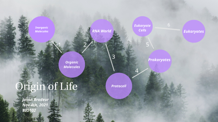 origin of life essay brainly