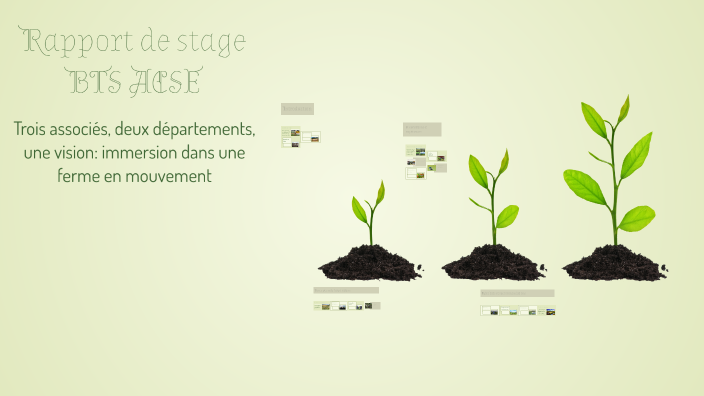 Rapport de stage BTS ACSE by Gabrielle Noémie Alizée Bauvais on Prezi