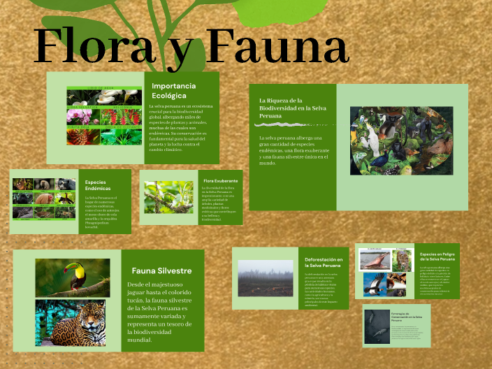 La Belleza de la Selva Peruana by juan almanza on Prezi