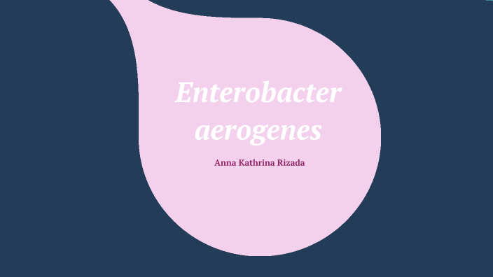 Enterobacter aerogenes by trina rizada on Prezi