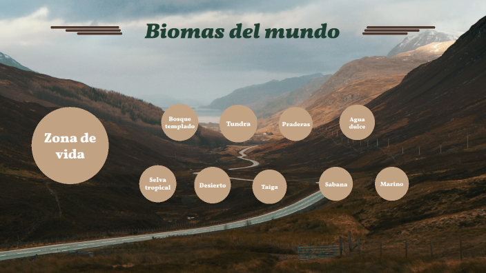 Biomas del mundo by Camila Hoffmann on Prezi