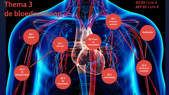 2e klas - T3 de bloedsomloop H/V by Nicole Kievit on Prezi