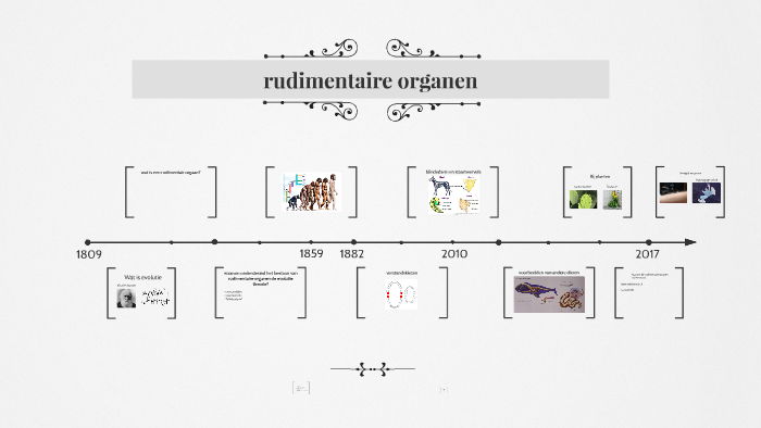 rudimentaire organen by Ramon Dahlkamp on Prezi