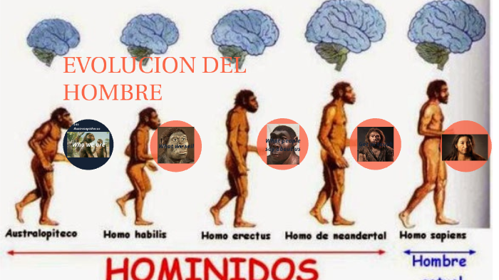 EVOLUCION DEL HOMBRE by Luisa Alvarez Garcia on Prezi
