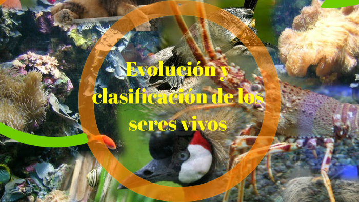 Evolucion y clasificacion de los seres vivos by Fanny Castro