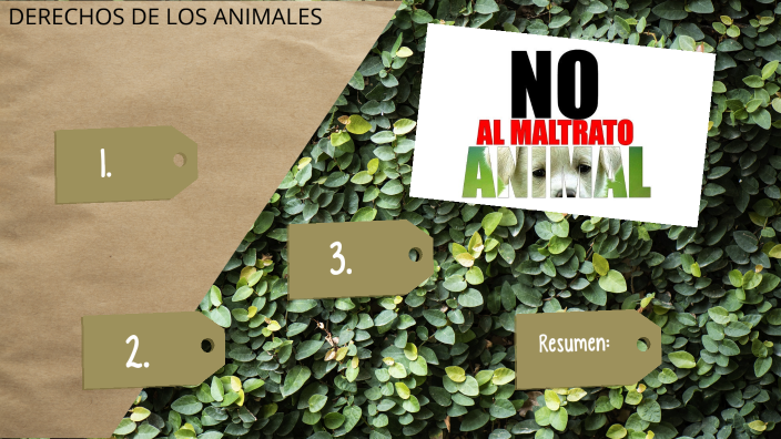 Derechos de los animales by dania maylin on Prezi