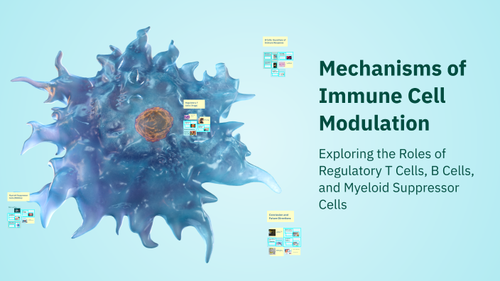Mechanisms of Immune Cell Modulation by rahish aslam on Prezi