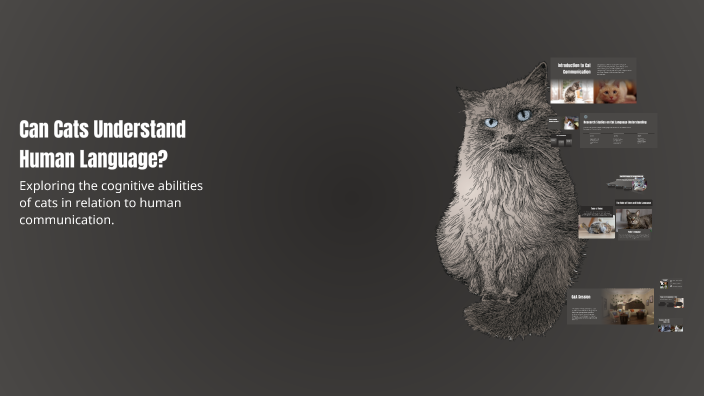 Can Cats Understand Human Language? by chris Roberts on Prezi
