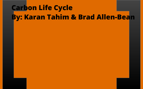 Carbon Life Cycle by Alex & Brad G-M & A-B on Prezi