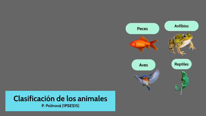 Clasificación de los Animales by Paulína Polinová