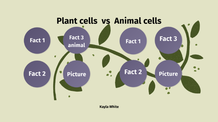 Plant and animal cells by Kayla White on Prezi