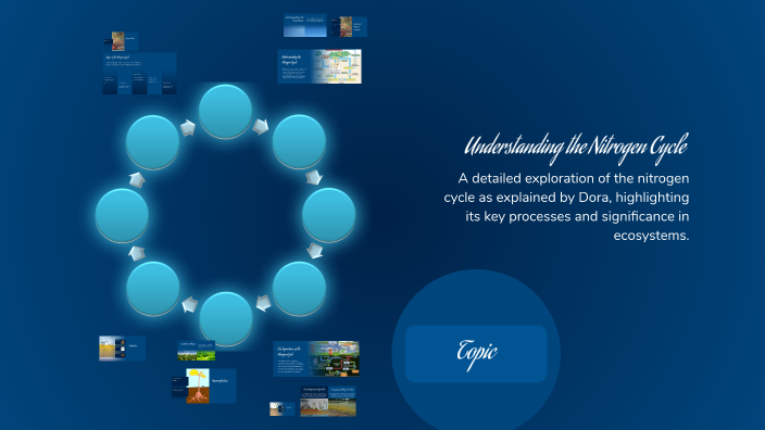 Understanding the Nitrogen Cycle by hasan aslam on Prezi