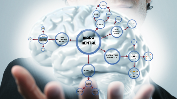 MAPA MENTAL by Michael Steven Montaña Medina on Prezi