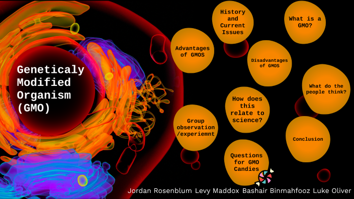 GMOs In Biology By Jordan Rosenblum On Prezi