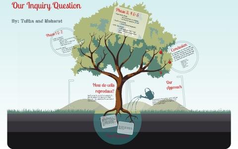 Our Inquiry Question Plant Cell Project By Meheret Begna