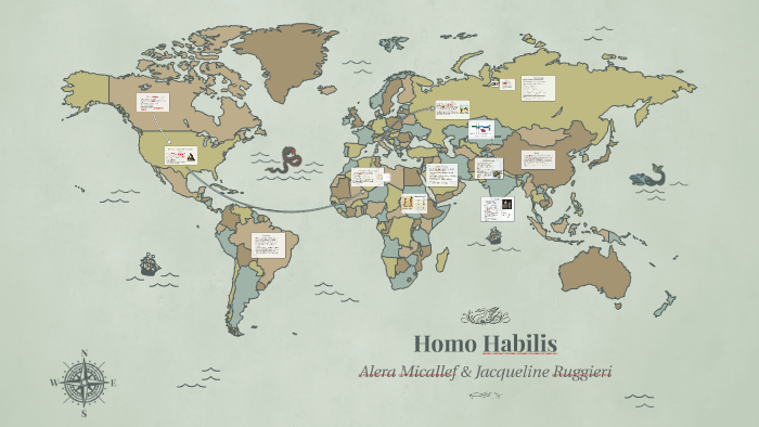 homo habilis map