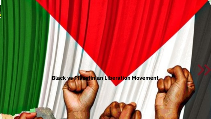 Intersectionality between Palestine and the BLM movement by Baidy Ba on ...