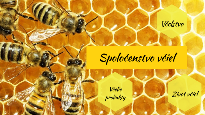 Spoločenstvo včiel by Terézia Holubjaková on Prezi