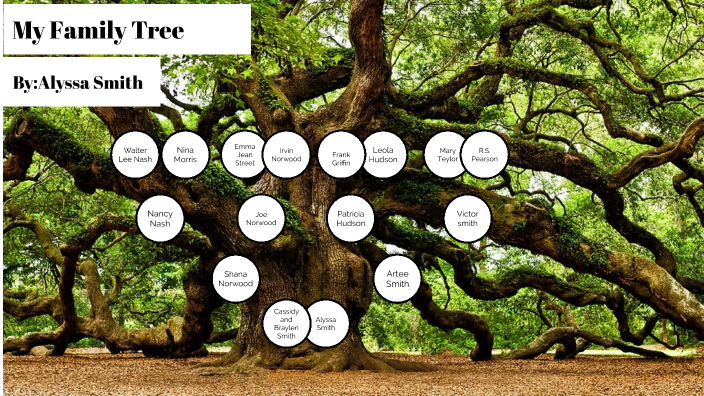 Alyssa's Family tree project by Alyssa Smith on Prezi