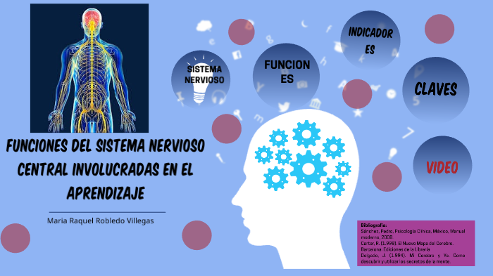 Funciones del sistema nervioso central involucradas en el aprendizaje ...