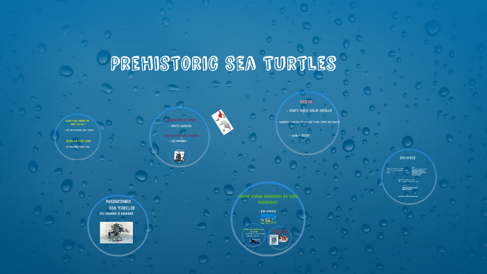 Prehistoric Sea Turtles by Brianne Taylor on Prezi