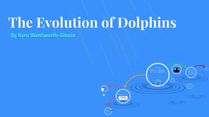 The Evolution of Dolphins by Kyra Wentworth-Glasco on Prezi