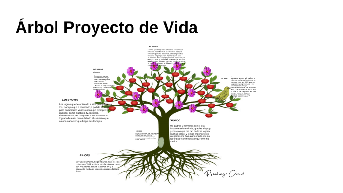 Árbol Proyecto de Vida by Javiera Palma Inzunza on Prezi