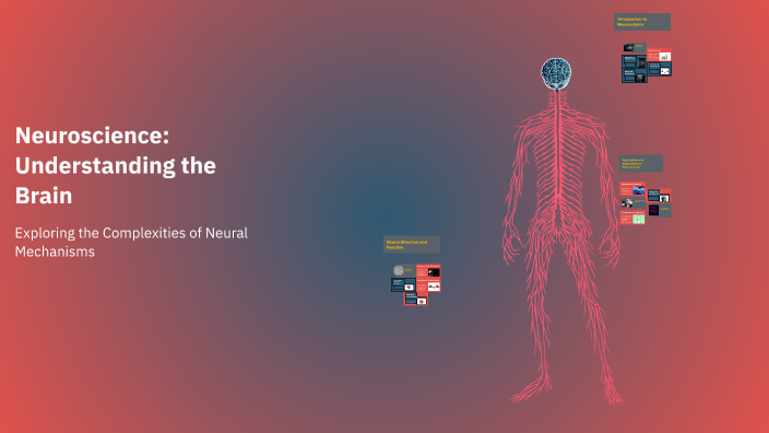 Neuroscience: Understanding the Brain by Giuliana Mora on Prezi
