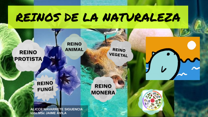 REINOS DE LA NATURALEZA by Alicce Navarrete on Prezi