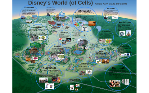 Amusement Park: Animal Cell by Catrina Evans on Prezi