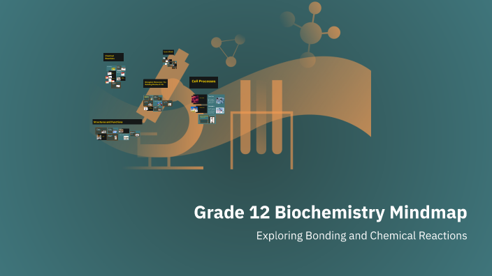 Grade 12 Biochemistry Mindmap by JV - 11ZZ 1091580 AEC South on Prezi