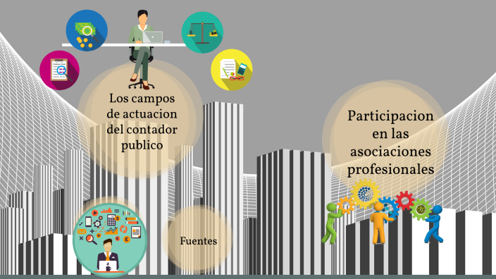 Funcion Del Contador Publico Y Su Campo De Accion