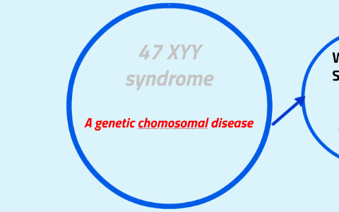 xyy syndrome diagram
