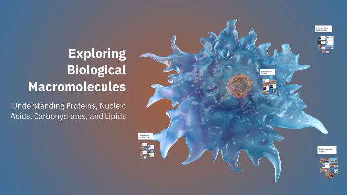 Exploring Biological Macromolecules by Jasmine Hooper on Prezi