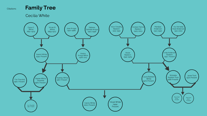 Family Tree by Cecilia White on Prezi