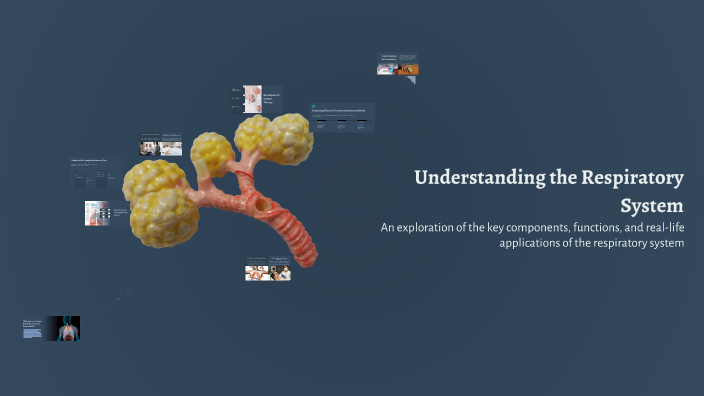 Understanding the Respiratory System by courtney peters on Prezi