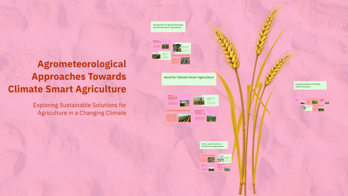 Agrometeorological Approaches Towards Climate Smart Agriculture by ...