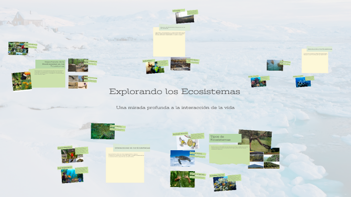 Explorando los Ecosistemas by TheRinnengan on Prezi