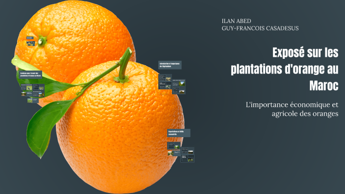 Exposé sur les plantations d'orange au Maroc by Aimtoxɪc SWEEZΨ on Prezi