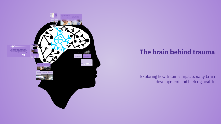 Understanding Trauma and Its Impact on Brain Development by olivia ...