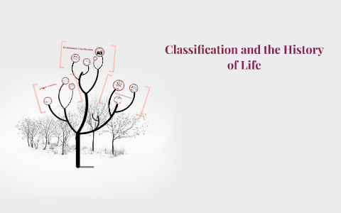Classification and the History by Seth O'Connell on Prezi