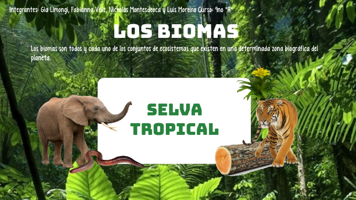 LOS BIOMAS - 9no -"A" by FABIANNA GUADALUPE VELIZ ZAMBRANO on Prezi