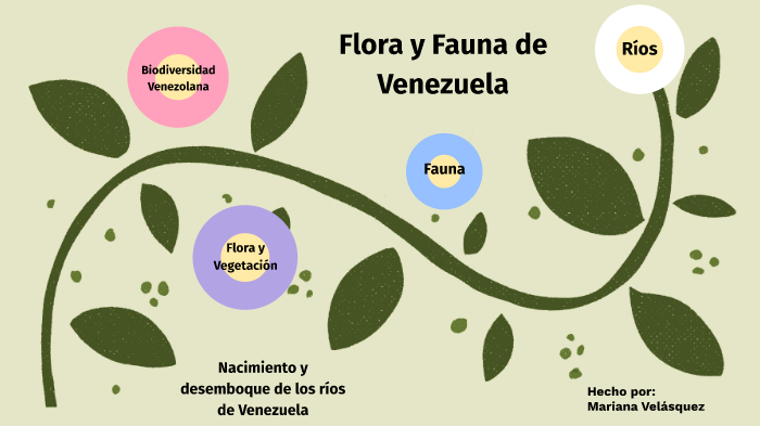 Flora Fauna Y Rios De Venezuela By Mariana Velasquez On Prezi 7324