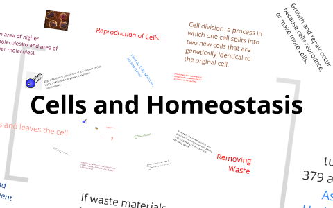 Cells and Homeostasis by Sherry Cheatham on Prezi