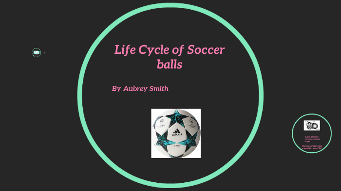 best bike brands 2018