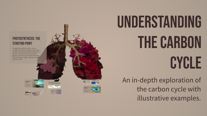 Understanding the Carbon Cycle by Jennifer Albert on Prezi