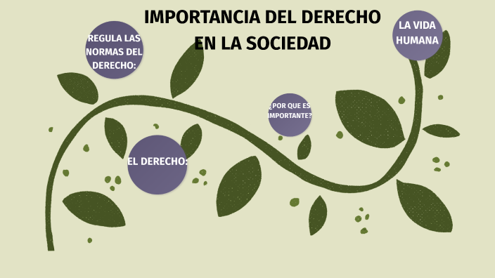 importancia del derecho en la sociedad by alina ramirez on Prezi