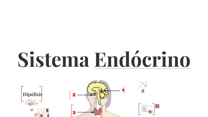 Sistema Endócrino by zuleth Romero